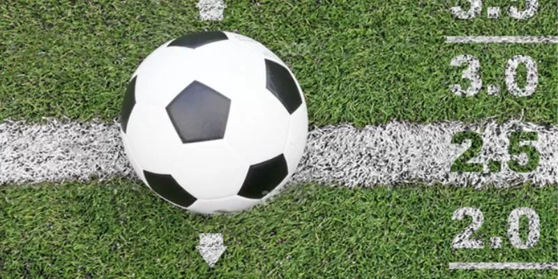 Cược tài xỉu hiện tại cũng phổ biến vì tỷ lệ trả thưởng cao  Cược tài xỉu hiện tại cũng phổ biến vì tỷ lệ trả thưởng cao